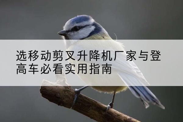 江阴电动升降机厂家-选移动剪叉升降机厂家与登高车必看实用指南