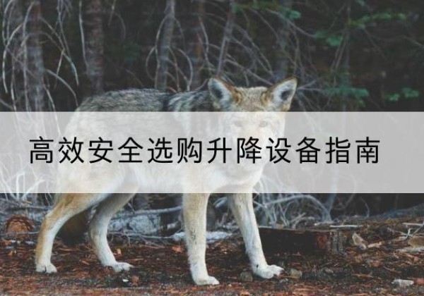 江阴升降货梯厂家推荐-*安全选购升降设备指南