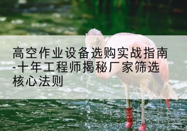 江阴剪叉式升降机厂家-高空作业设备选购实战指南-十年工程师揭秘厂家筛选核心法则